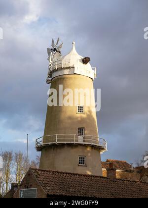 Denver Windmill near Downham Market in Norfolk, UK. Stock Photo