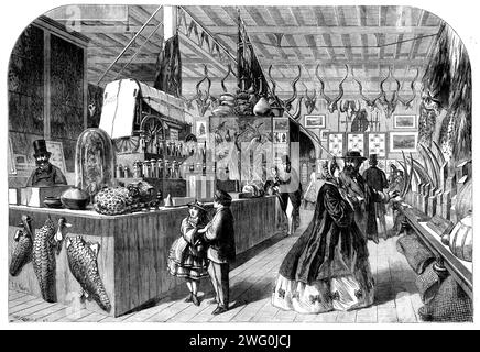 The International Exhibition - View in the Natal Court, 1862. Visitors inspecting horns, skins, and stuffed animals from South Africa. Note model of covered wagon. The International Exhibition of 1862 was a world's fair held from 1 May to 1 November 1862 in South Kensington, London. The site now houses museums including the Natural History Museum and the Science Museum. From &quot;Illustrated London News&quot;, 1862. Stock Photo