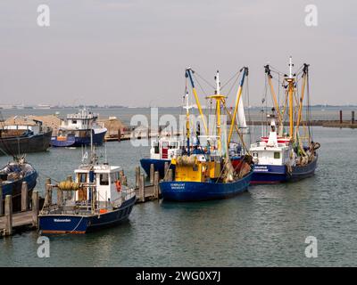 Fishing boats at jetty in harbour of Breskens along Western Scheldt river, Zeeuws-Vlaanderen, Zeeland, Netherlands Stock Photo