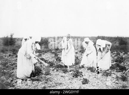 Women Hard Labor Convicts at Work, 1890. The photographs were taken on Sakhalin Island during the late 19th and early 20th centuries and provide rare glimpses of the island's settlements, prisons, and inhabitants. Sakhalin Island was used by imperial Russia as a penal colony and place of exile for criminals and political prisoners. The collection depicts public life and institutions in the town of Aleksandrovsk Post, convicts working under harsh conditions or in chains, and political prisoners. The photographs also show the daily life both of the Nivkh people, indigenous to the northern part o Stock Photo