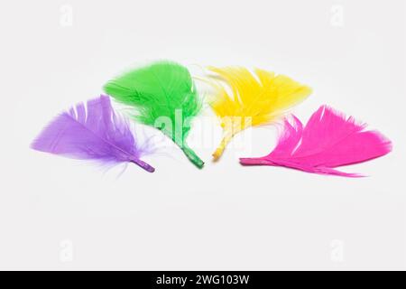 colorful feathers isolated on white background Stock Photo