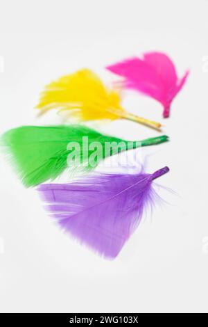 feathers isolated on white background Stock Photo