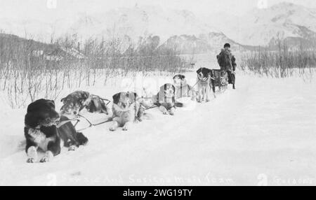 Seward and Susitna mail team, between c1900 and c1930. Stock Photo