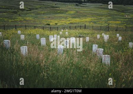 Tombstones marking the graves of fallen US soldiers at the Battle of Little Bighorn, George Armstrong Custer's grave in the center Stock Photo