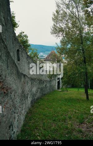 The castle wall adjacent to a tree with sprawling branches Stock Photo