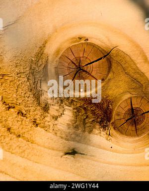 knot weathered obsolete rough textured wooden background. Wooden texture close up photo , nice background for your projects Stock Photo