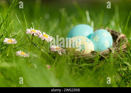 Cute Easter nest with colorful eggs in the grass beside the first daisies in springtime Stock Photo