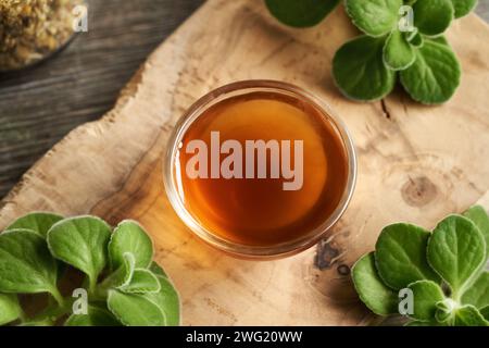 A bowl of homemade Plectranthus amboinicus syrup for common cold, with fresh leaves Stock Photo