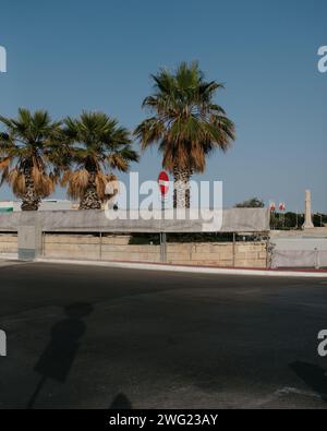 A no entry sign and palm trees in Malta in the midday sun. Stock Photo