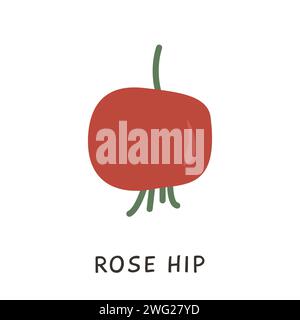 Rose hip doodle element. Icon of rosehip healthy medical herb for alternative medicine. Rose fruit vector illustration isolated on white Stock Vector