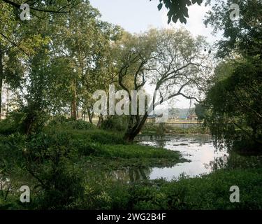 bulbule lake nepali a lake in birendranagar karnali province nepal 2wg2b4f