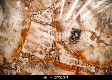 Natural Marble Expamples Collection of Different Types of Marble Natural Stone Textures and ...