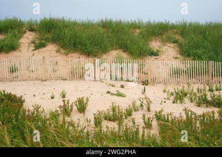 Wooden beach fencing protecting sand dunes from erosion. Prince Edward Island, Canada Stock Photo