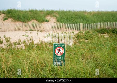 Sign warning people to keep off dune area to protect beach grass and prevent erosion. Stock Photo