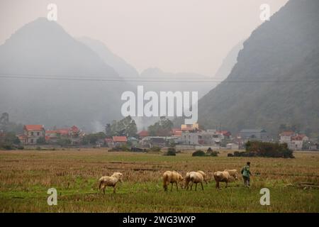 Beautiful foggy winter scene of Bac Son Valley in Lang Son Province in the Northeast region of Vietnam Stock Photo