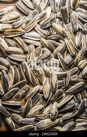 Macro close-up on heap of sunflower seeds detail background texture Stock Photo