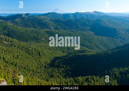 Battle Creek forest from Battle Ax summit, Bull of the Woods Wilderness, Mt Hood National Forest, Oregon Stock Photo