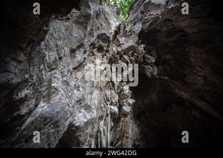 Mae Sai, Thailand. 17th Jan, 2024. Rocks formation at the Wat Tham Pla Temple. Wat Tham Pla (Cave Fish Temple) is also referred to as the 'Monkey Temple' for Thai locals, located 16 kilometers from Mae Sai, the northernmost city of Thailand. (Photo by Guillaume Payen/SOPA Images/Sipa USA) Credit: Sipa USA/Alamy Live News Stock Photo