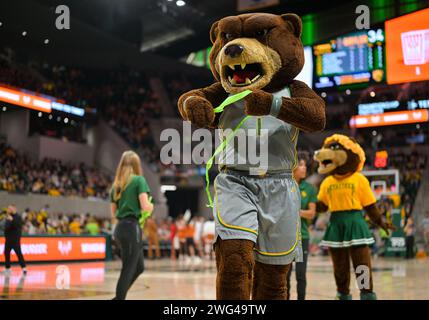 February 1 2024: Baylor Lady Bears mascot during the 2nd half of the NCAA Basketball game between the Texas Longhorns and Baylor Lady Bears at Foster Pavilion in Waco, Texas. Matthew Lynch/CSM Stock Photo