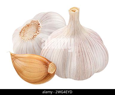 Garlic isolated on white background with clipping path, full depth of field Stock Photo