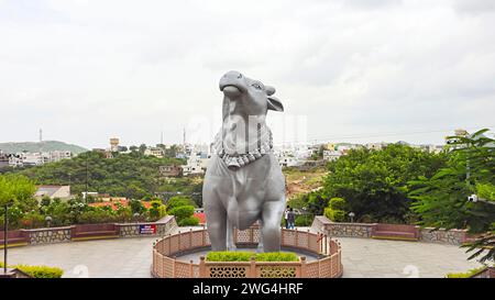 INDIA, RAJASTHAN, NATHDWARA, August 2023, Tourist with Statue of Nandi in Front of Statue of Belief. Stock Photo