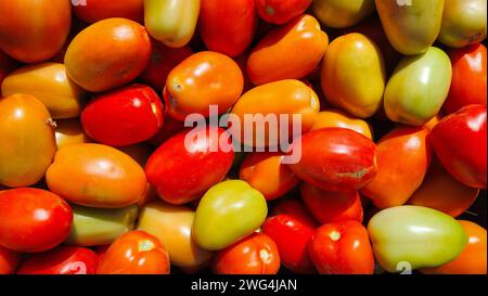 A closeup of a pile of freshly picked tomatoes Stock Photo