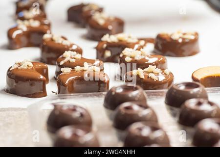 Chocolate and pralines in praline molds, DIY chocolate made at home in Vienna Stock Photo