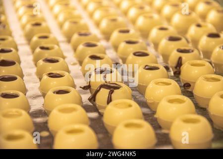 Chocolate and pralines in praline molds, DIY chocolate made at home in Vienna Stock Photo