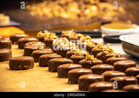 Chocolate and pralines in praline molds, DIY chocolate made at home in Vienna Stock Photo