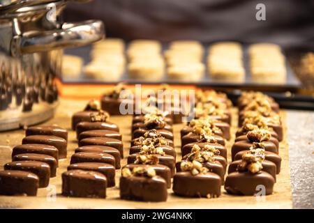 Chocolate and pralines in praline molds, DIY chocolate made at home in Vienna Stock Photo