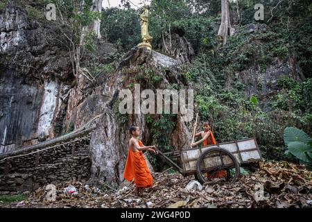 January 17, 2024, Mae Sai, Chiang Rai, Thailand: Young monks pick up leaves at the Wat Tham Pla Temple. Wat Tham Pla (Cave Fish Temple) is also referred to as the ''Monkey Temple'' for Thai locals, located 16 kilometers from Mae Sai, the northernmost city of Thailand. (Credit Image: © Guillaume Payen/SOPA Images via ZUMA Press Wire) EDITORIAL USAGE ONLY! Not for Commercial USAGE! Stock Photo