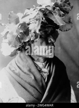 Porcupine-Cheyenne, c1910. Porcupine, a Cheyenne man, head-and-shoulders portrait, facing right, wearing a wreath of cottonwood leaves on his head, possibly to protect his head from the sun during a Sun Dance. Stock Photo