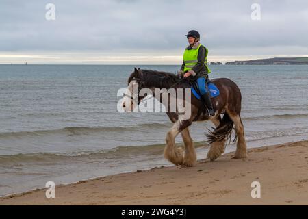Studland, Dorset UK. 3rd February 2023. UK weather: cloudy, but mild at Studland beach as visitors head to the seaside for some fresh air and exercise. Horse rider enjoys a ride along the seashore with Old Harry Rocks in the distance. Credit: Carolyn Jenkins/Alamy Live News Stock Photo