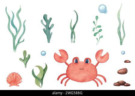 Set of watercolor hand-drawn illustrations on a marine theme. Seaweed, rocks, corals, crab, seashells. For postcards and design Stock Photo