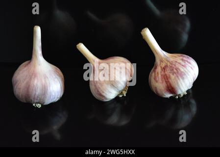 Fresh vegetables, three heads of a calf lying on a black glossy surface with repeated reflection. Stock Photo