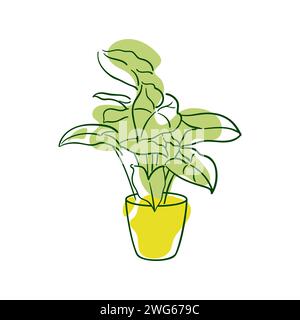 Exotic Syngonium Podophyllum . Aroid plant in a pot. Home floriculture, house plants, hobby. Botanical vector illustration in hand drawn sketch style. Stock Vector