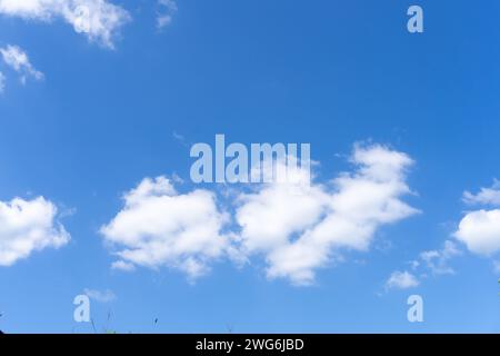 Beautiful blue sky with strange shape of clouds and small bird and trees in distance in the morning or evening is used as natural background texture Stock Photo