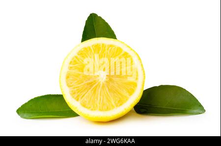 Front view of fresh yellow lemon half with leaves is isolated on white background with clipping path. Stock Photo