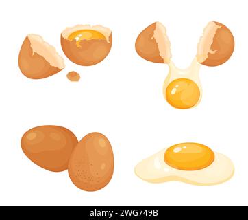 Set of chicken eggs in whole and broken condition. Stock Vector