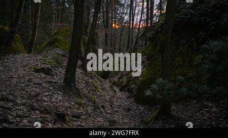 Gloomy and dark forest road during a moody sunset with the best mystic atmosphere in the east of Bohemia. Stock Photo