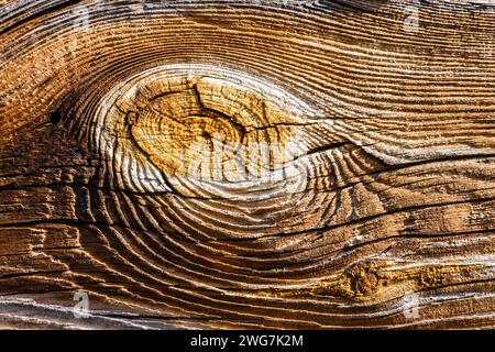 Texture of dark brown old wood. Charred and burnt old Board with knots. Wide burned board texture close-up, panoramic banner Stock Photo
