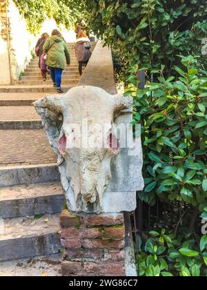 .Verona - Italy - 30 Decembe 2019 : old statue depicting a sheep's skull. Verona Stock Photo