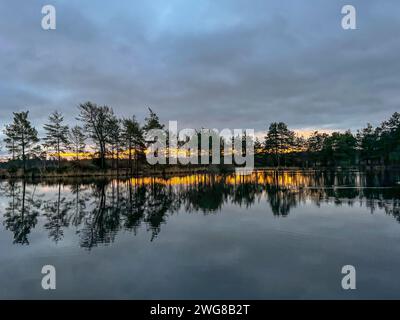 Thursley Common, Elstead. 03rd January 2025. A very cold end to the day ...