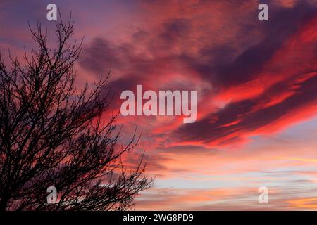 Spectacular surreal sunset, the clouds in the foreground give the impression that the tree is burning, 4th February 2024, Buckinghamshire, UK. Stock Photo