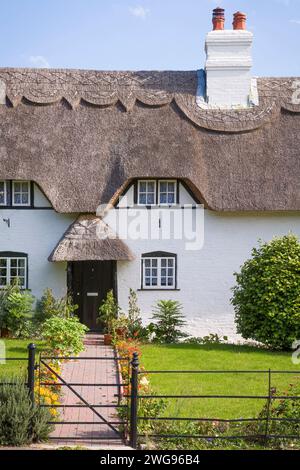 HAMPSHIRE, UK - September 21, 2006. Pretty white thatched cottage in New Forest, Hampshire, UK Stock Photo