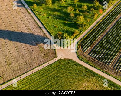 Aerial shot of an idyllic intersection of dirt roads with fields and a tree in fall, Hesse, Germany Stock Photo