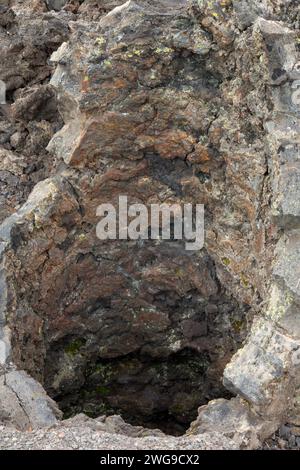 Lava cast along Lava Cast Forest Trail, Newberry National Volcanic Monument, Oregon Stock Photo