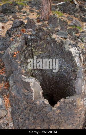 Lava cast along Lava Cast Forest Trail, Newberry National Volcanic Monument, Oregon Stock Photo