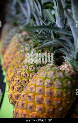 5 ripe pineapples lined up in a row isolated on white background ...
