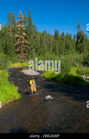 Fly fishing, North Fork Malheur Wild and Scenic River, Malheur National Forest, Oregon Stock Photo